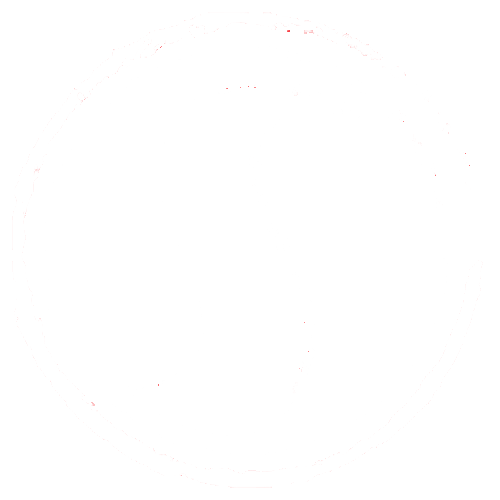 SANSAT logo